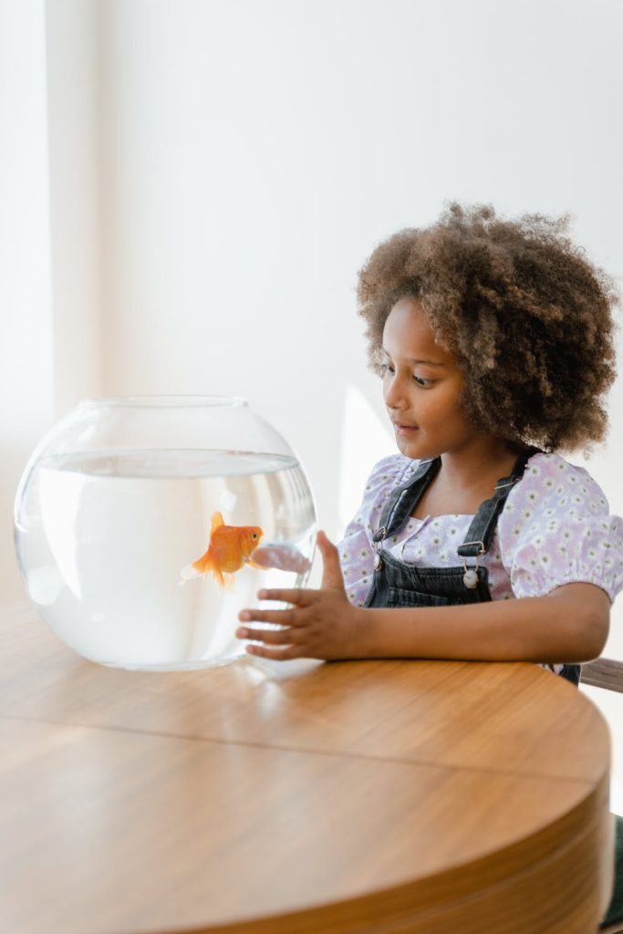 A kid staring at a goldfish in a glass Kid using the Aqua One Lifestyle 190 to learn about the goldfish