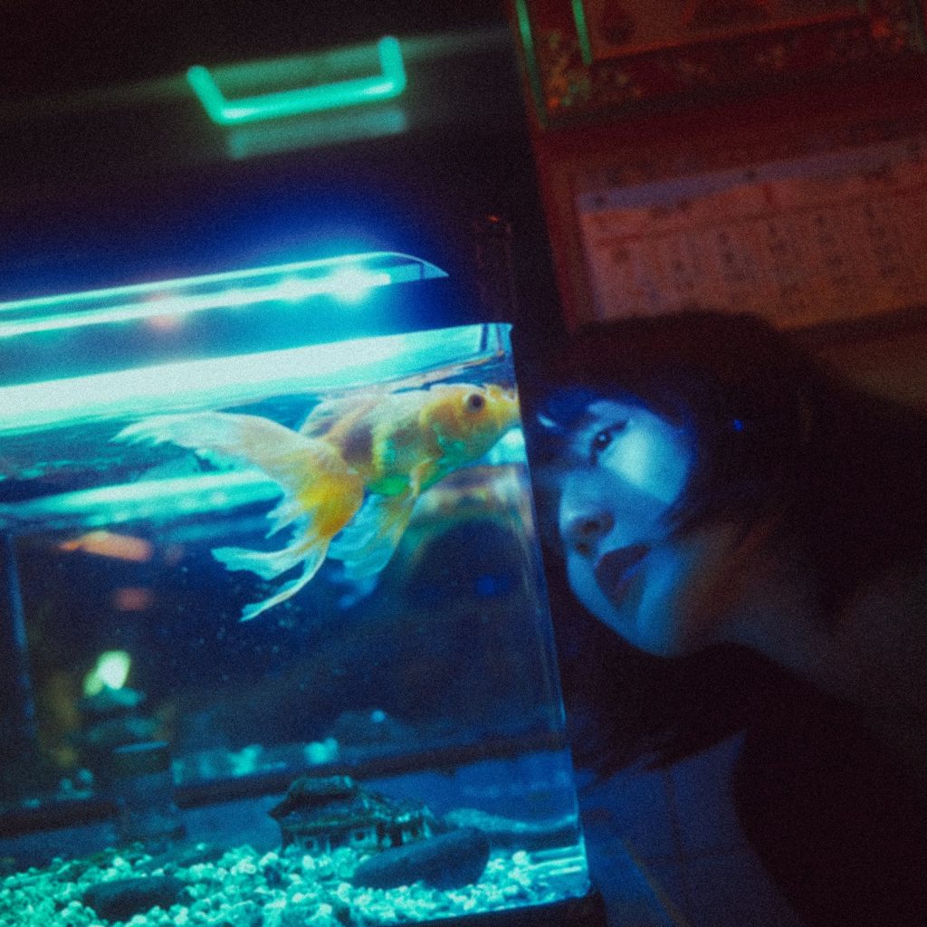 Lady staring at a Beautiful Aqua one lifestyle 190 Lady staring at an aqua one lifestyle 190 with beautiful fishes