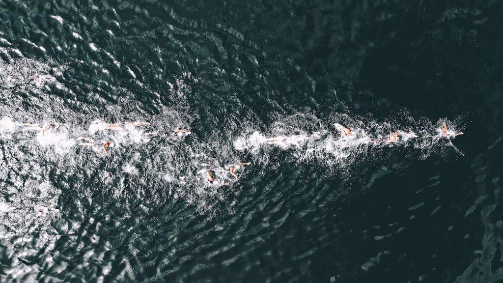 History of open water swimming in Australia