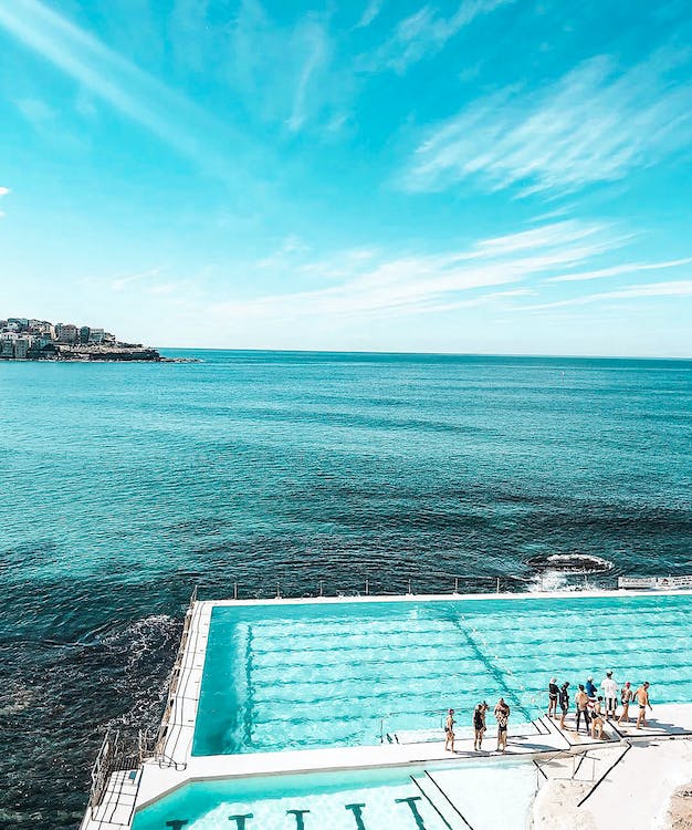 people standing beside a swimming pool not far from an ocean