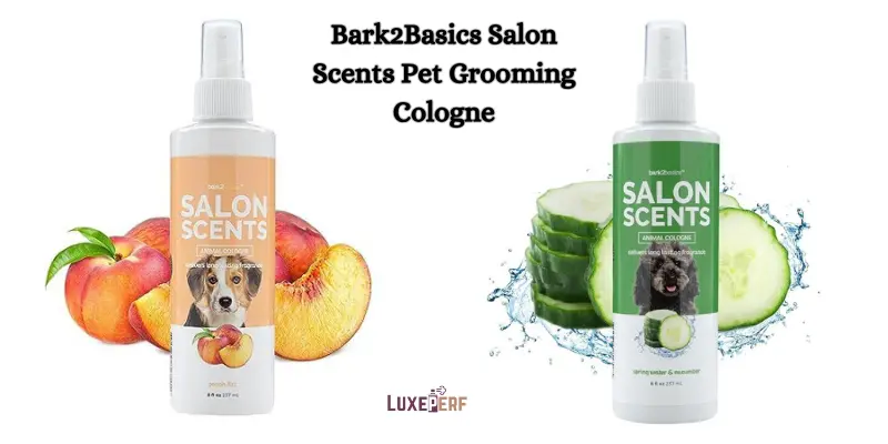 Can I Spray Perfume On My Dog? 4 Can I Spray Perfume On My Dog?