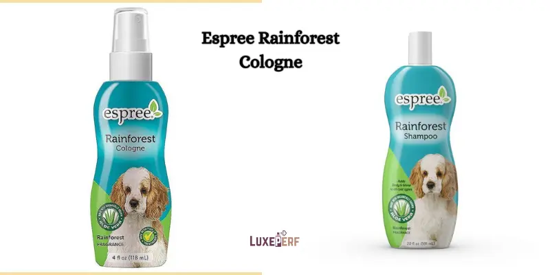Can I Spray Perfume On My Dog? 7 Can I Spray Perfume On My Dog?