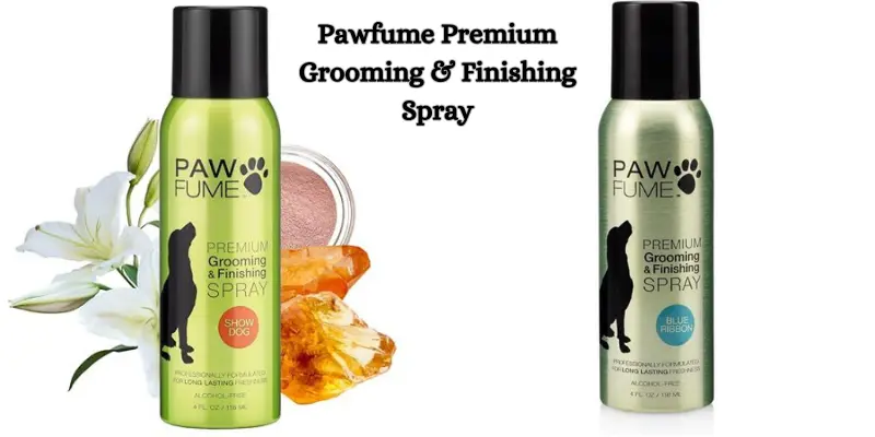 Can I Spray Perfume On My Dog? 3 Can I Spray Perfume On My Dog?