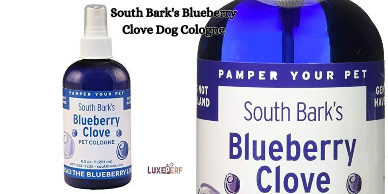 Can I Spray Perfume On My Dog? 6 Can I Spray Perfume On My Dog?