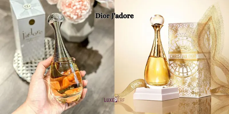 What Material Holds Perfume Better? Unlocking the Secrets of Long-Lasting Fragrance 1 What Material Holds Perfume Better? Unlocking the Secrets of Long-Lasting Fragrance