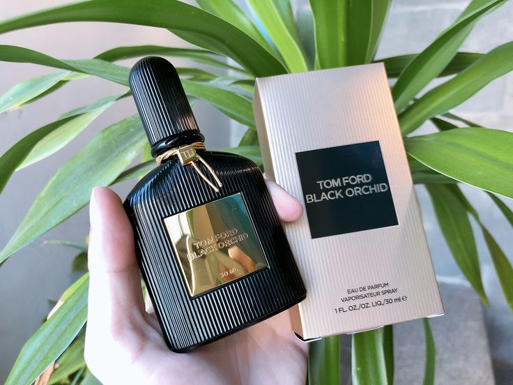 What Material Holds Perfume Better? Unlocking the Secrets of Long-Lasting Fragrance 12 What Material Holds Perfume Better? Unlocking the Secrets of Long-Lasting Fragrance