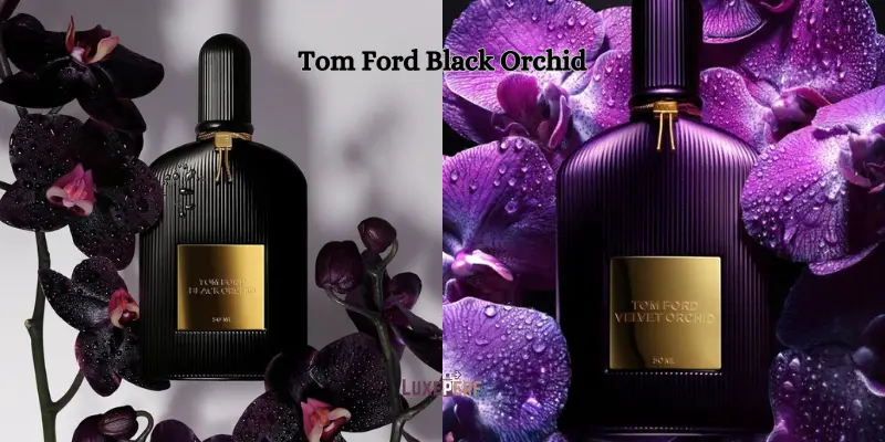 What Material Holds Perfume Better? Unlocking the Secrets of Long-Lasting Fragrance 2 What Material Holds Perfume Better? Unlocking the Secrets of Long-Lasting Fragrance