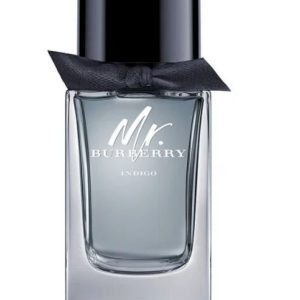 Burberry Mr Burberry INDIGO EDT 100ml For Men