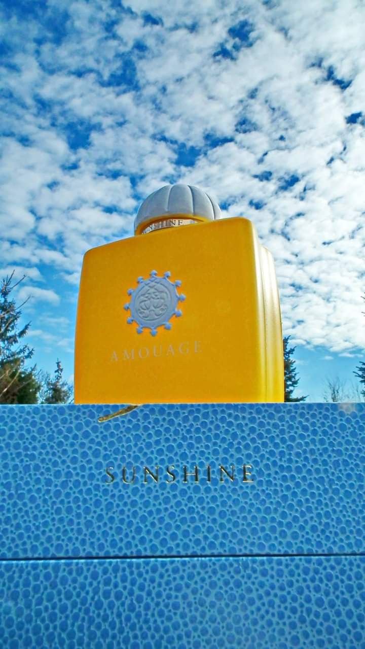 3ab1d47b65338ad94b8670d5e14f5110.jpg AMOUAGE Sunshine EDP 100ml Perfume For Men - Image 1