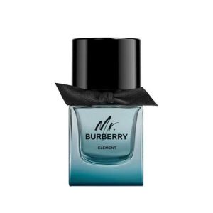 Burberry Mr Burberry Element EDT 100ml For Men