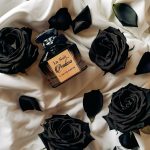 Pendora Scents La Nuit Pendora EDP 50ml For Women - Image 2