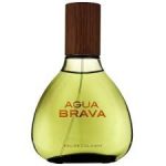 Antonio Puig Agua Brava EDT 100ml Perfume For Men - Image 2