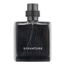 Cerruti 1881 Signature EDP 100ml For Men