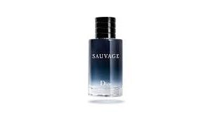 Christian Dior Sauvage EDT 100ml For Men