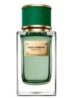 Dolce & Gabbana Velvet Cypress EDP 150ml Perfume For Men - Image 3