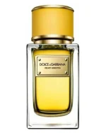 Dolce & Gabbana Velvet Ginestra EDP 150ml For Women - Image 2