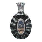 FA Paris Alexander IV EDP 100ml Perfume For Men - Image 2