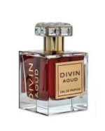FA Paris Divin Aoud EDP 100ml For Men - Image 2