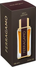 FERRAGAMO Spicy Leather Pour Homme Parfum 100ml For Men - Image 2