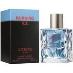 Iceberg Burning Ice EDT 100ml For Men