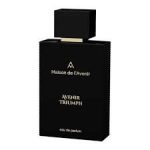 Maison de L'Avenir Avenir Triumph EDP 100ml For Unisex - Image 2
