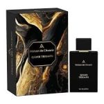 Maison de L'Avenir Avenir Triumph EDP 100ml For Unisex
