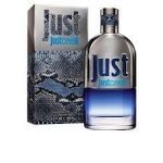 Roberto Cavalli Just Cavalli EDT 90ml For Men