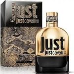 Roberto Cavalli Just Cavalli Gold EDP 90ml For Men
