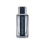 Salvatore Ferragamo Ferragamo EDT 100ml For Men