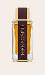 Salvatore Ferragamo Spicy Leather Parfum 100ml For Men - Image 2