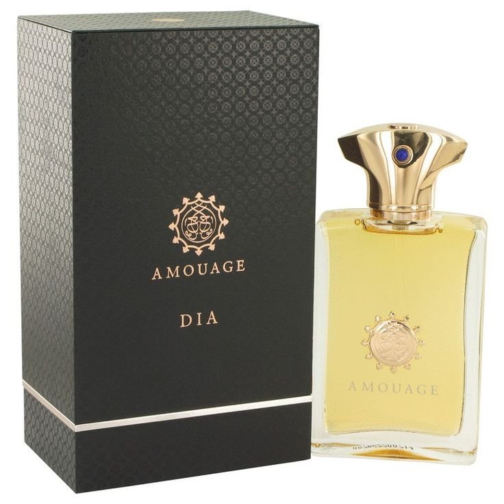 b7c7ab93eb71cea4b17cff798416d56d.jpg AMOUAGE Dia EDP 100ml For Men - Image 1