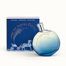 download-2025-03-25T043101.861.jpeg Hermes L'Ombre Des Merveilles EDP 100ml For Unisex - Image 1