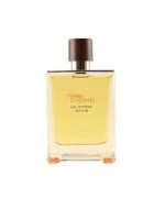 Terre D'Hermes Eau Intense Vetiver EDP 200ml Perfume For Men - Image 2
