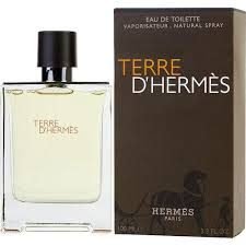 download-2025-03-25T054257.908.jpeg Hermes Terre D Hermes EDT 100ml For Men - Image 1