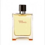 Hermes Terre D Hermes EDT 100ml For Men - Image 2