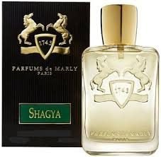download-2025-04-25T072920.133.jpg Parfums De Marly Shagya EDP 125ml For Men - Image 1