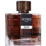 Pendora Destined Brown EDP 100ml For Men - Image 2
