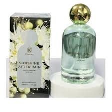 download-2025-04-30T021024.841.jpg Pearoot Sunshine After Rain Woody Aromatic EDP 100ml For Unisex - Image 1